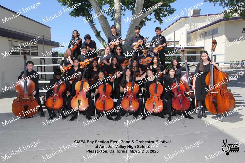 Musical Images